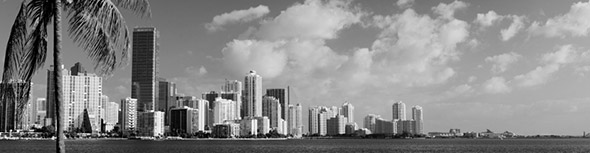 South Florida Skyline